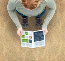 Load image into Gallery viewer, Things to do in Bexhill-on-Sea

