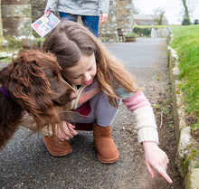 Load image into Gallery viewer, Interactive Treasure Hunt in Abingdon - Solve Clues
