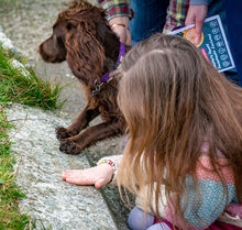 Load image into Gallery viewer, Aberaeron Treasure Hunt
